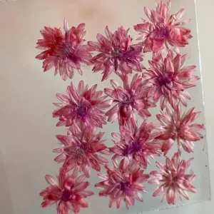 NATURALEZA MUERTA GIRASOL ROSA NÄGEL