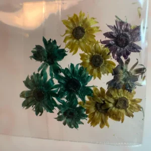 NATURALEZA MUERTA MIX TRIO DE GIRASOL NÄGEL