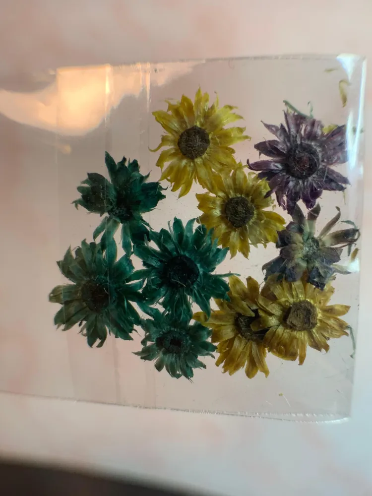 NATURALEZA MUERTA MIX TRIO DE GIRASOL NÄGEL