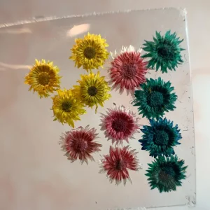 NATURALEZA MUERTA MIX TRIO MINI DE GIRASOL NÄGEL