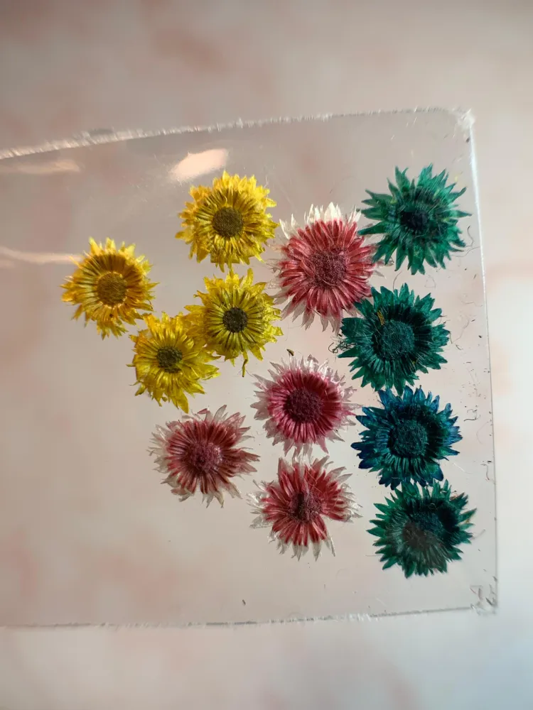 NATURALEZA MUERTA MIX TRIO MINI DE GIRASOL NÄGEL