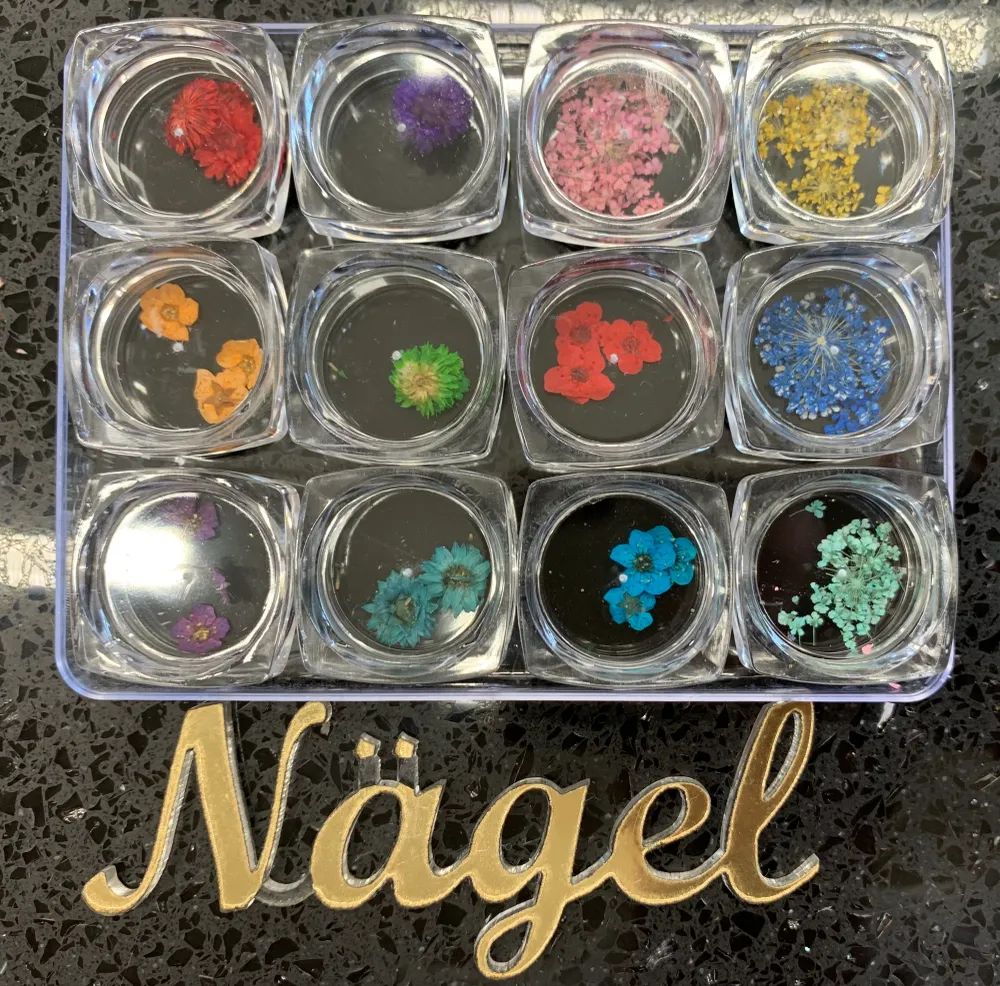 Colección 12 Naturaleza muerta Nagelshop