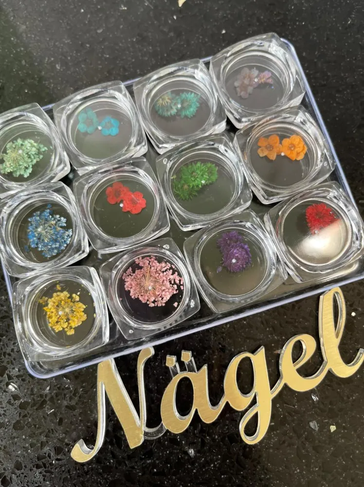 Colección 12 Naturaleza muerta Nagelshop