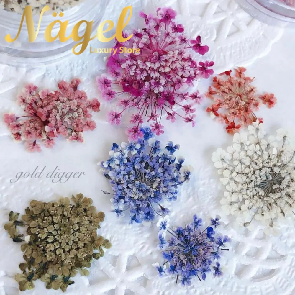 Colección 12 Naturaleza muerta Nagelshop