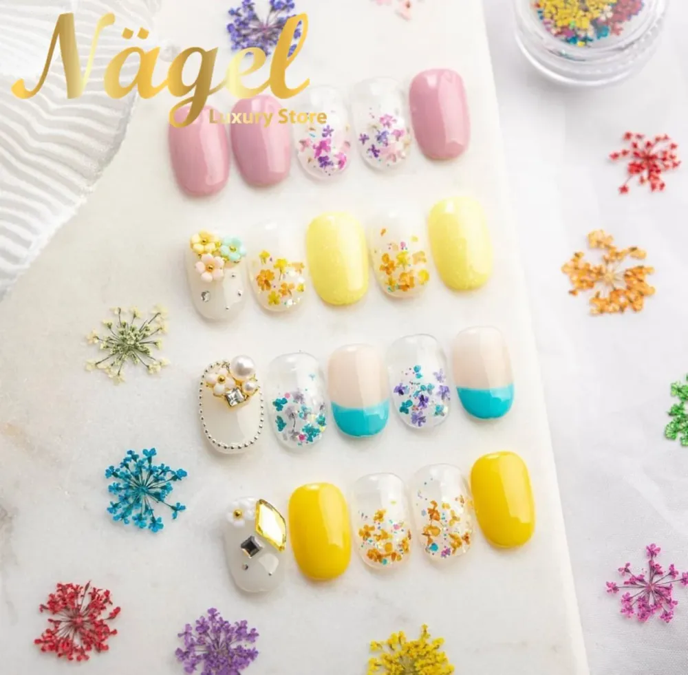 Colección 12 Naturaleza muerta Nagelshop