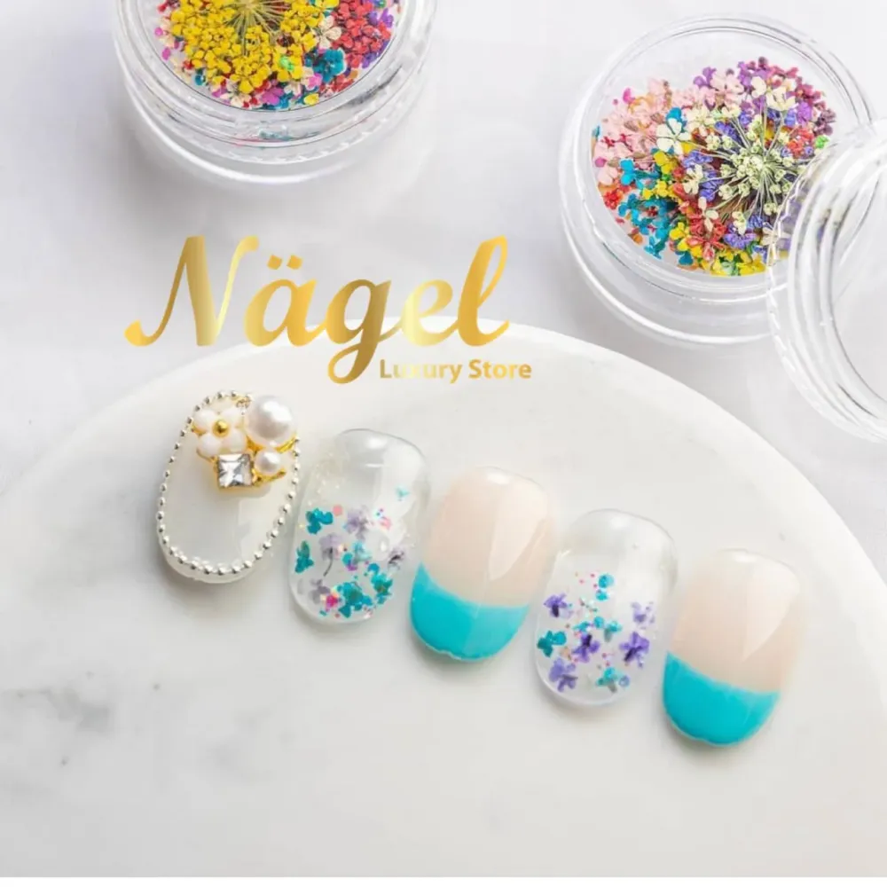 Colección 12 Naturaleza muerta Nagelshop