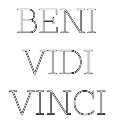 Neon personalizado: BENI VIDI VINCI