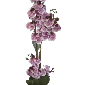 ARREGLO FLORAL ORQUIDEAS 4 TALLOS 17 FLORES Ninguno