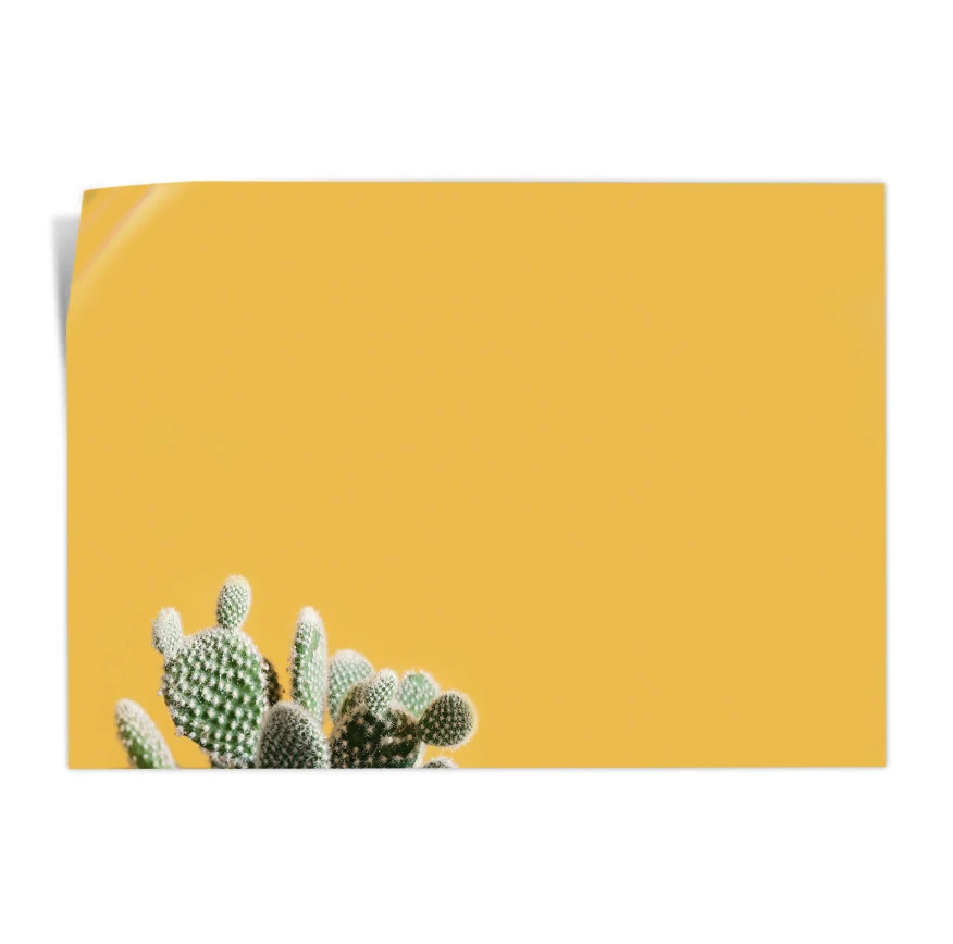 Nopal Poster