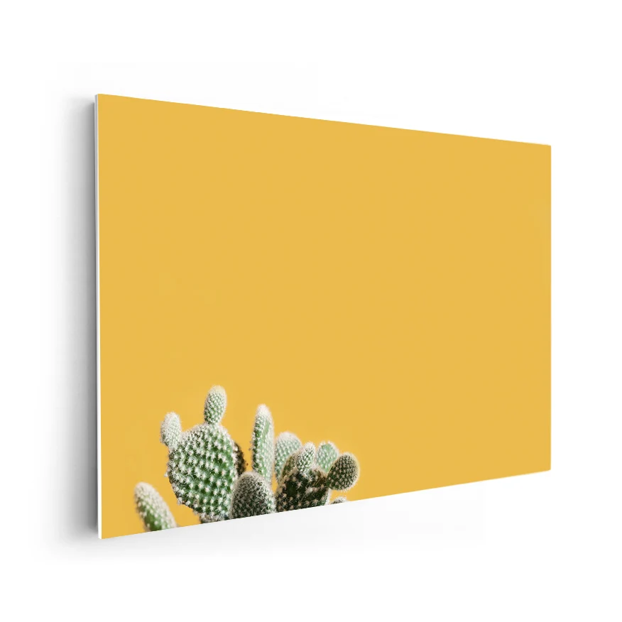 Nopal Poster