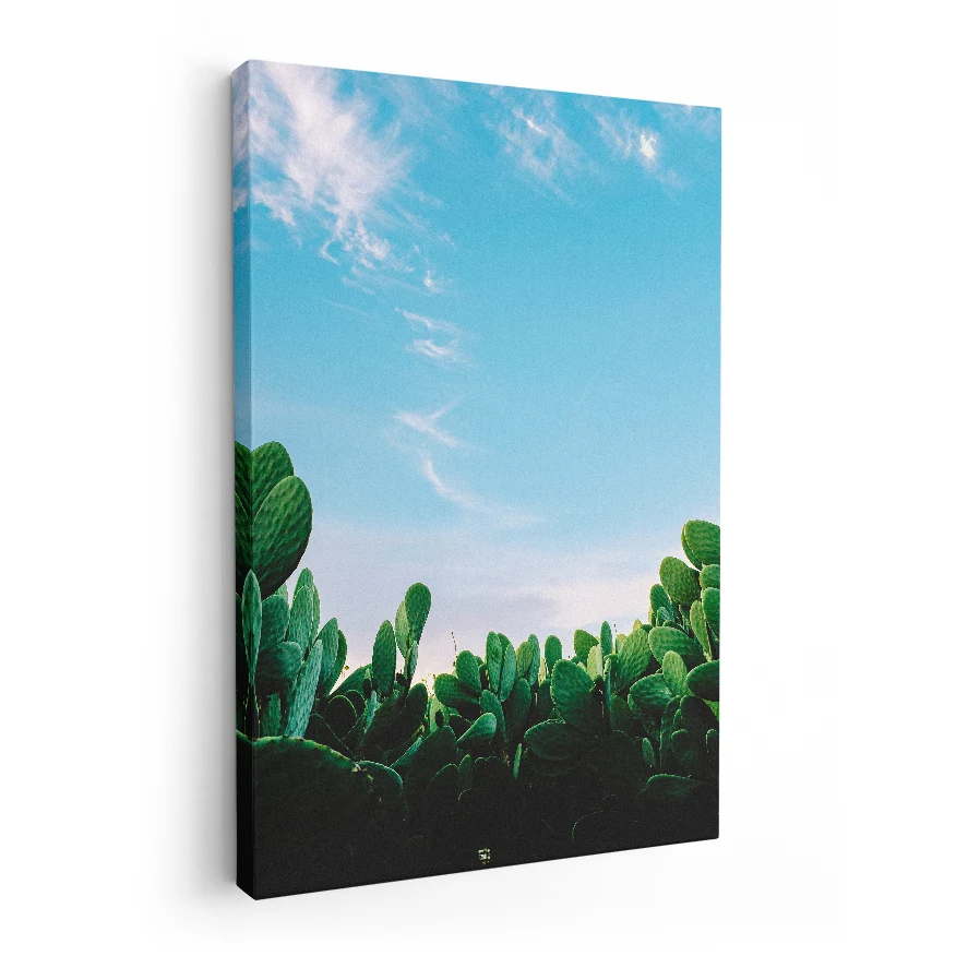 Nopales en el Desierto Poster