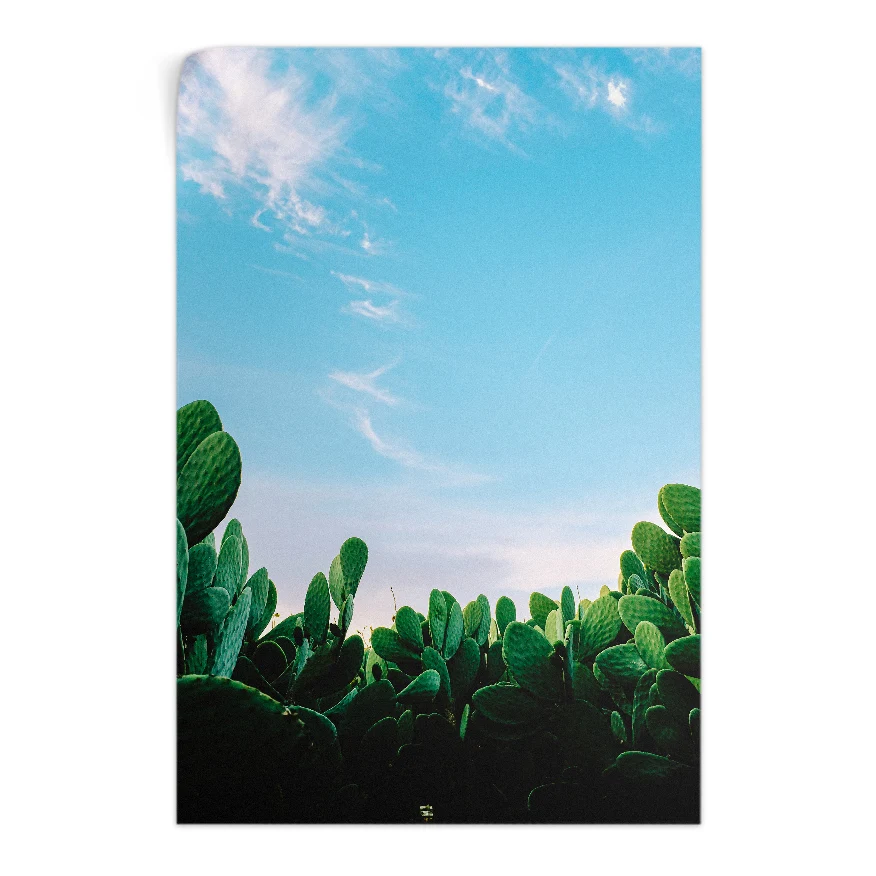 Nopales en el Desierto Poster