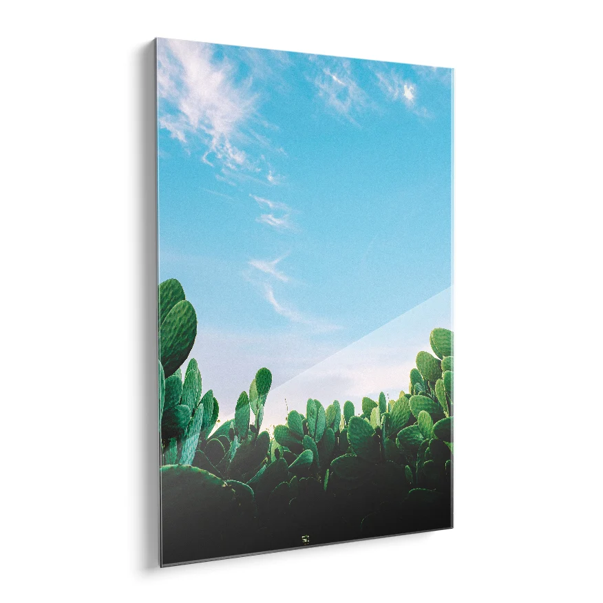 Nopales en el Desierto Poster