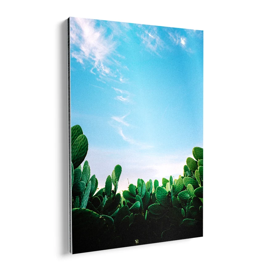 Nopales en el Desierto Poster