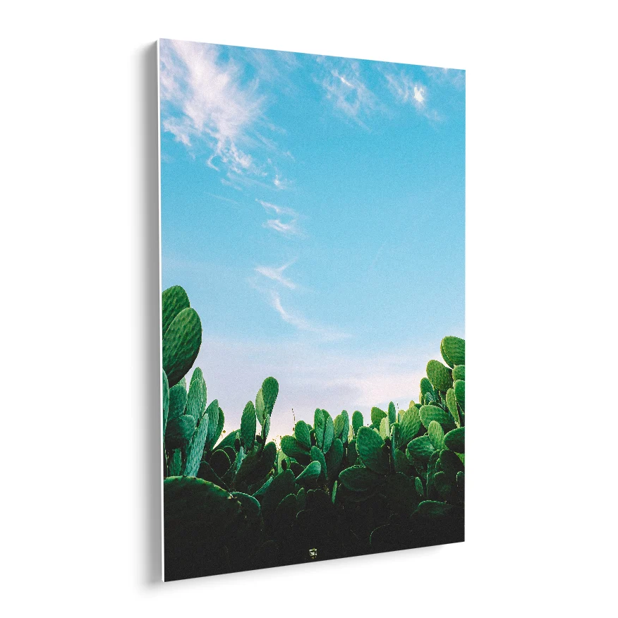 Nopales en el Desierto Poster