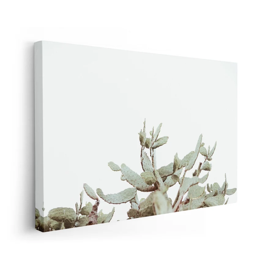 Nopales Poster