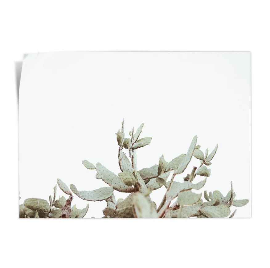 Nopales Poster
