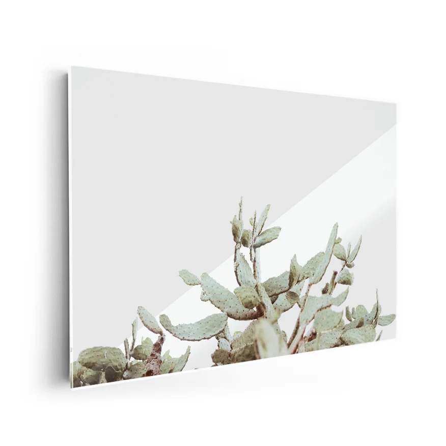 Nopales Poster
