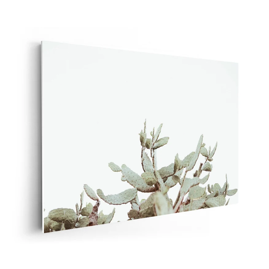 Nopales Poster