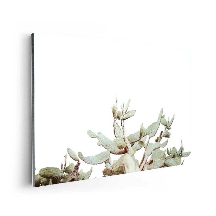 Nopales Poster