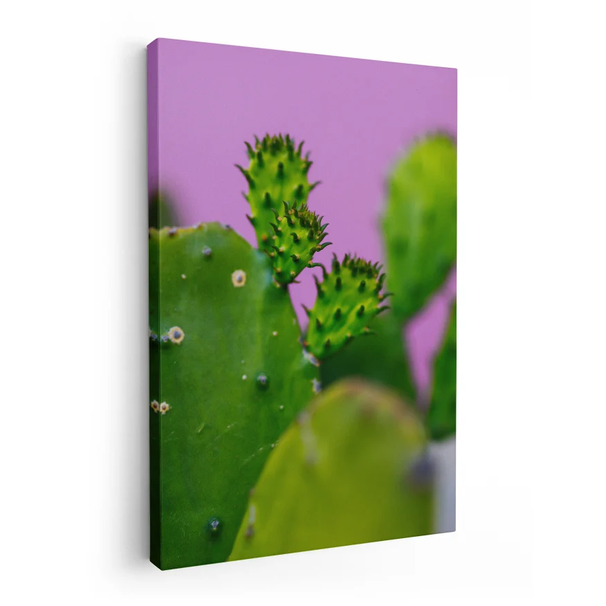Nopales y sus Retoños Poster