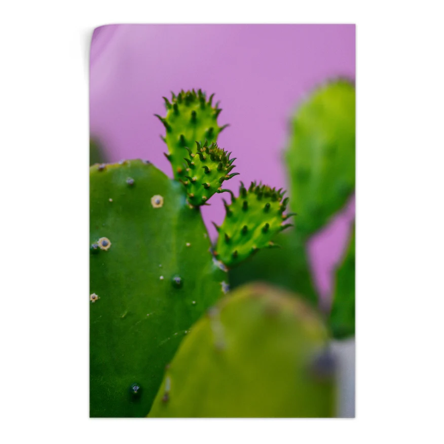 Nopales y sus Retoños Poster