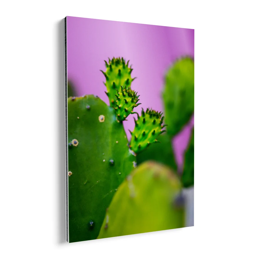 Nopales y sus Retoños Poster