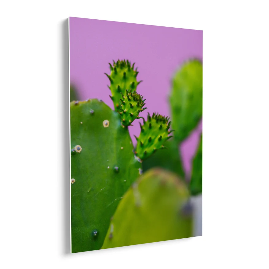 Nopales y sus Retoños Poster