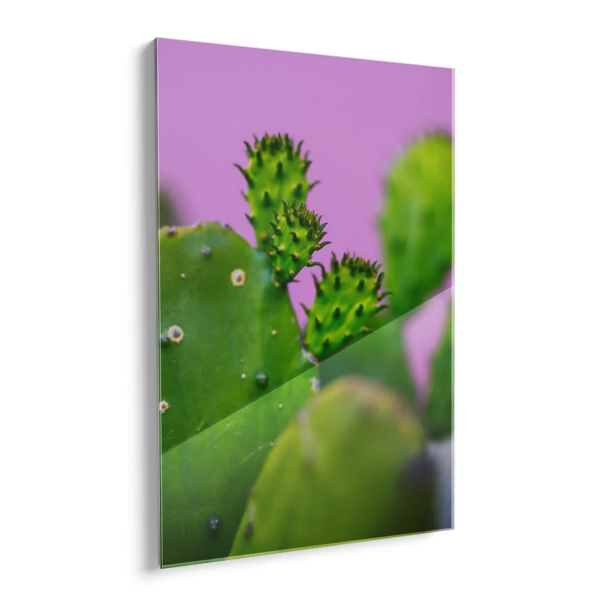 Nopales y sus Retoños Poster
