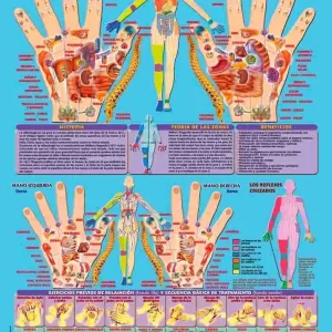 Póster Reflexologí de las Manos Novasan