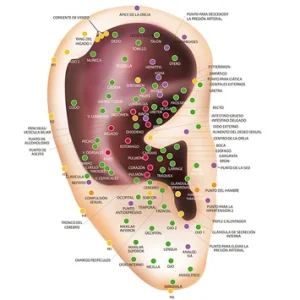 🔥 Póster Digital Auriculoterapia 🔥 NUTRITIENDA MX