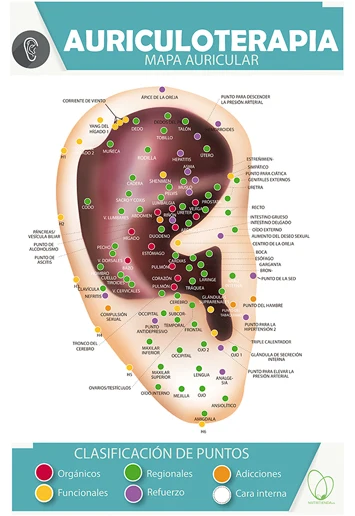 🔥 Póster Digital Auriculoterapia 🔥 NUTRITIENDA MX
