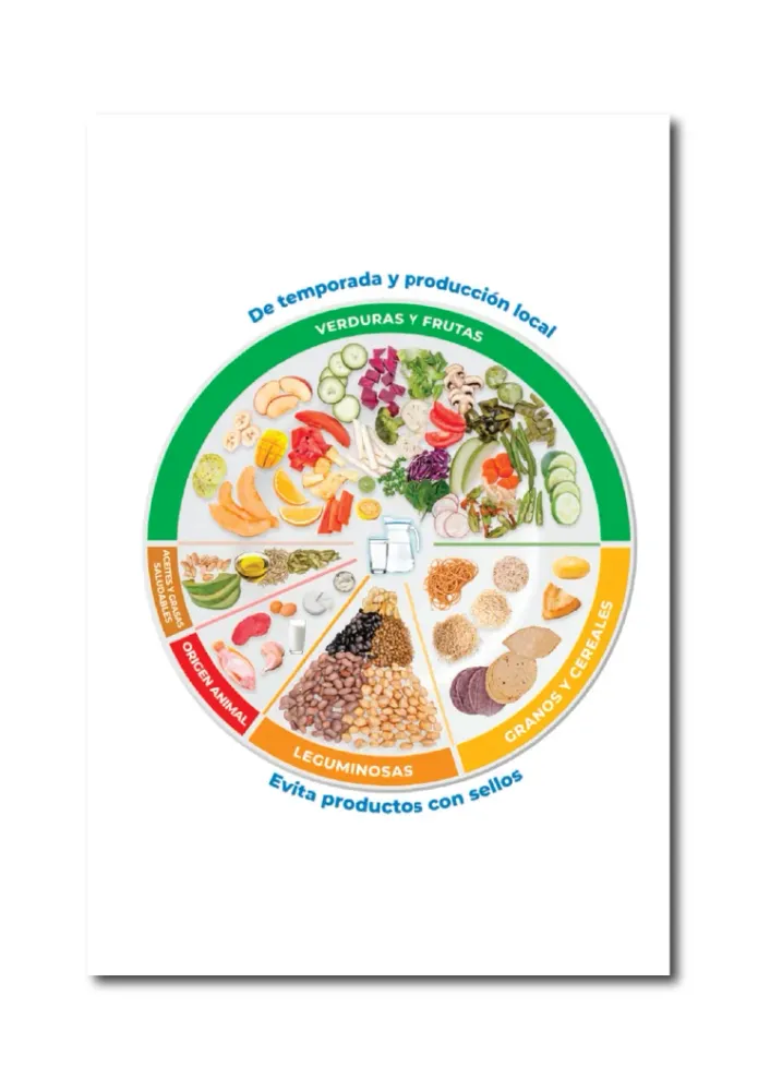 🔥 Póster Digital Plato del Bien Comer Original 🔥 NUTRITIENDA MX