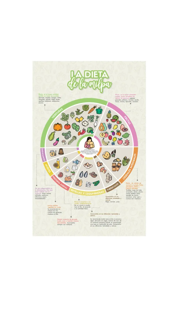Póster Impreso Dieta de la Milpa NUTRITIENDA MX