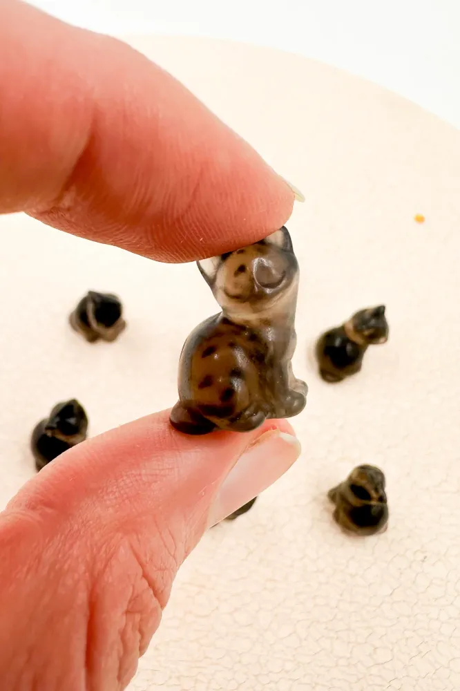 Obsidiana Hielo | Gatito | Autorrealización y Protección