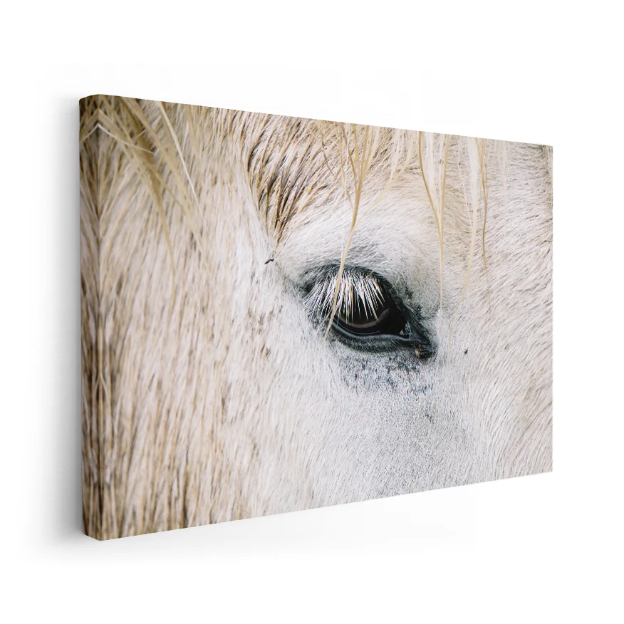 Ojo de Caballo Poster