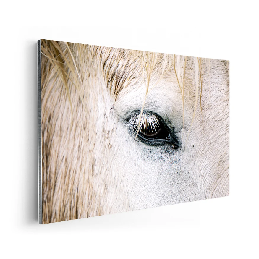 Ojo de Caballo Poster