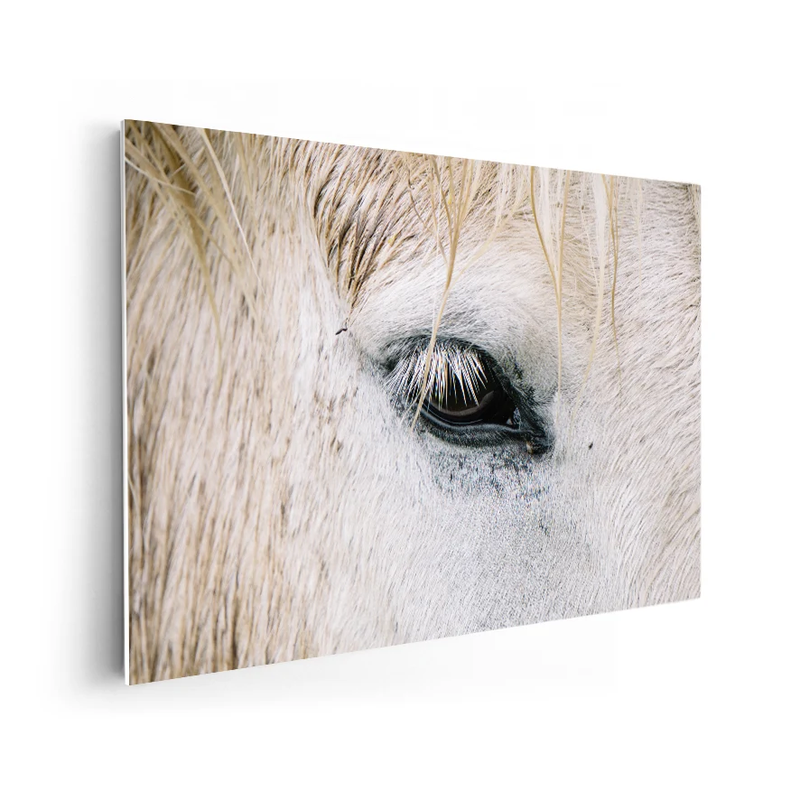 Ojo de Caballo Poster