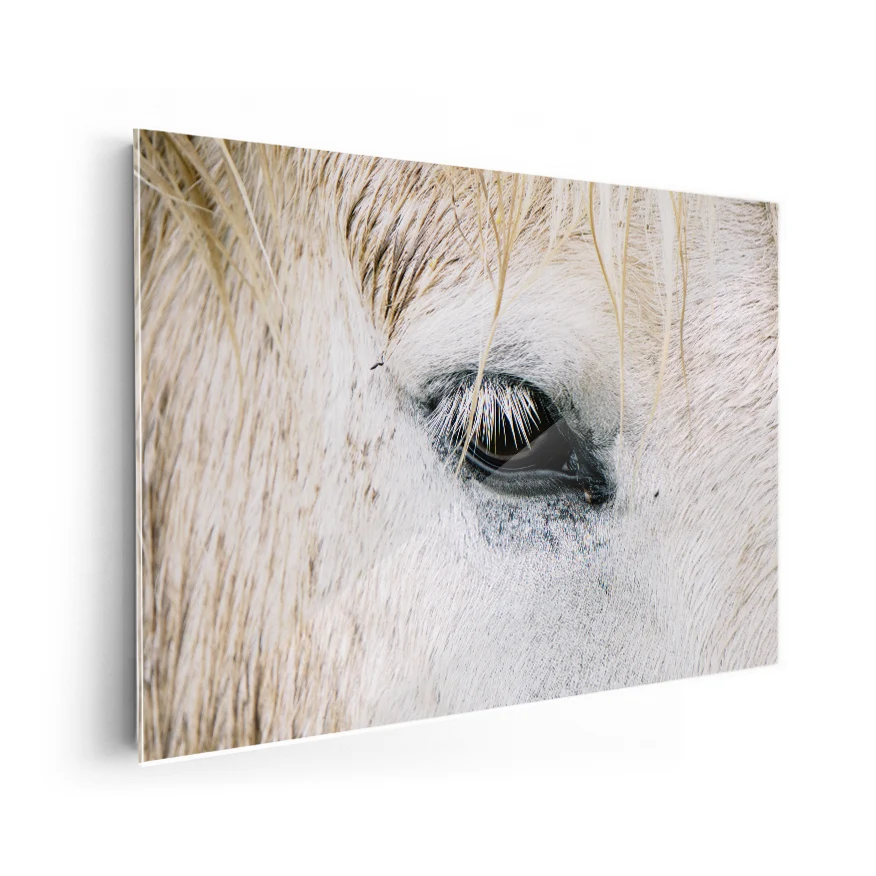 Ojo de Caballo Poster