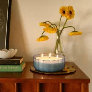 Paddywax - Vela de cristal Ripple Ripple 340G - Índigo pimienta Paddywax & co
