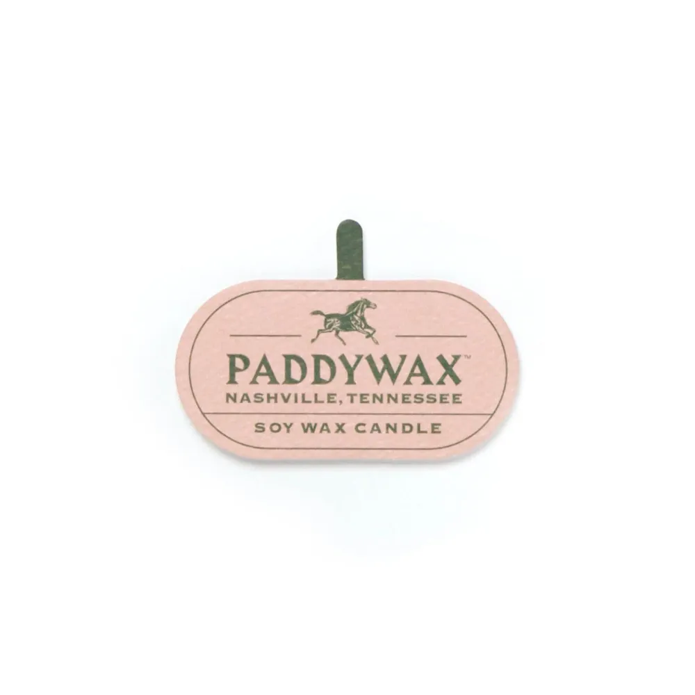Paddywax - Vela de cristal Vista 142G - Verde cactus - Flor de cactus y aloe Paddywax & co