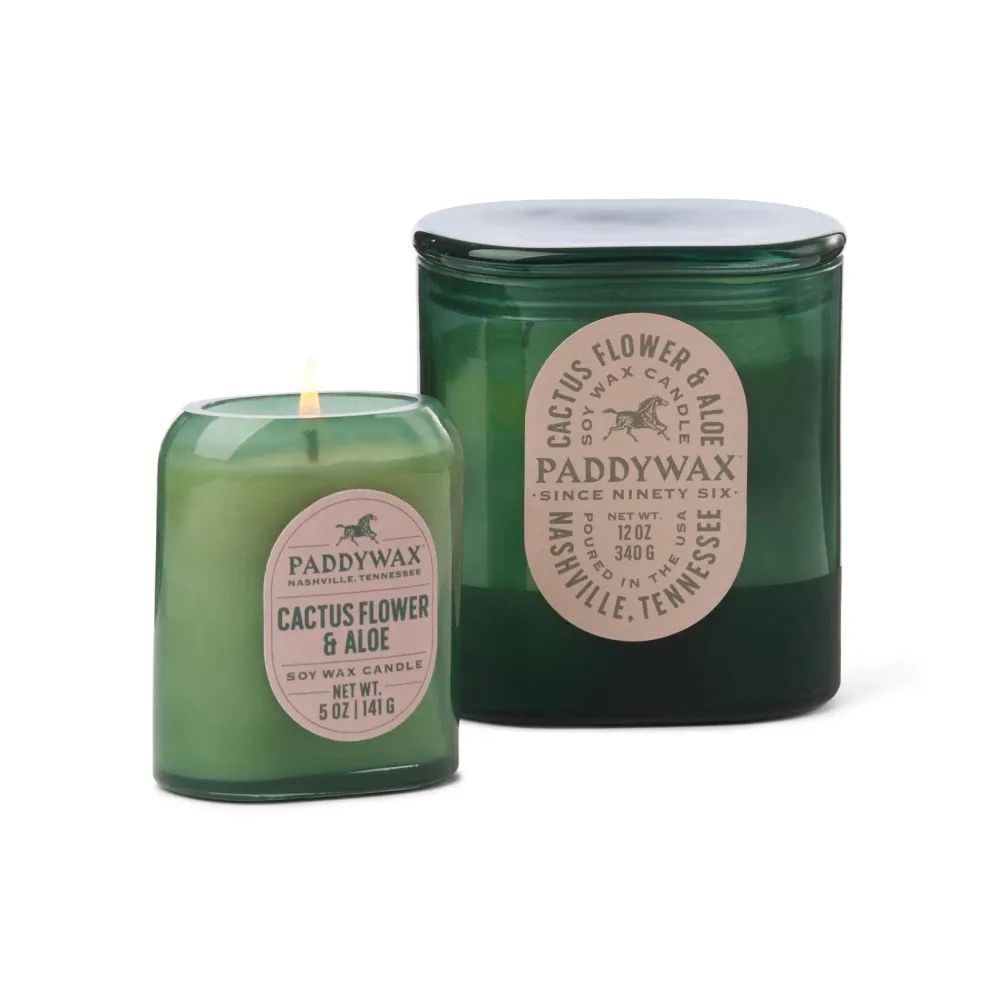 Paddywax - Vela de cristal Vista 142G - Verde cactus - Flor de cactus y aloe Paddywax & co