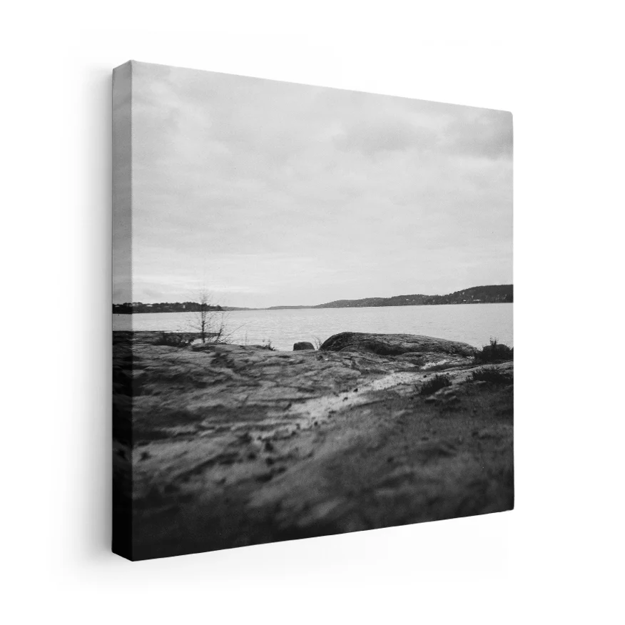 Paisaje B y N Poster