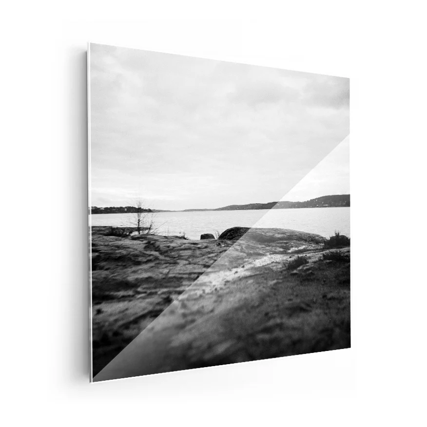 Paisaje B y N Poster