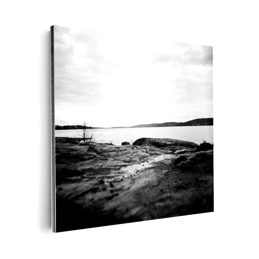 Paisaje B y N Poster