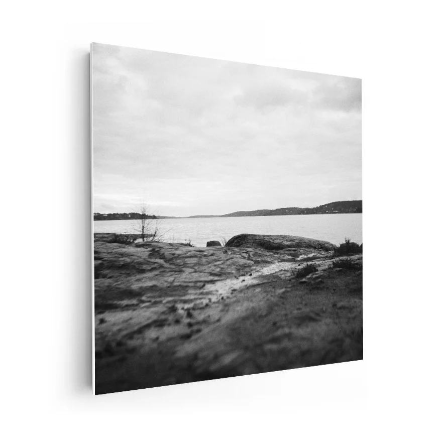 Paisaje B y N Poster
