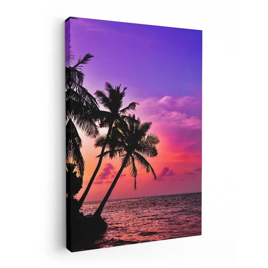 Palmeras y Cielo de Colores Poster