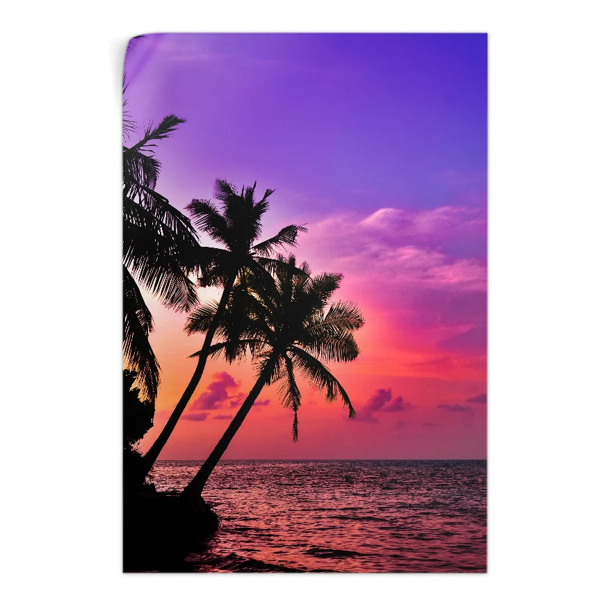 Palmeras y Cielo de Colores Poster