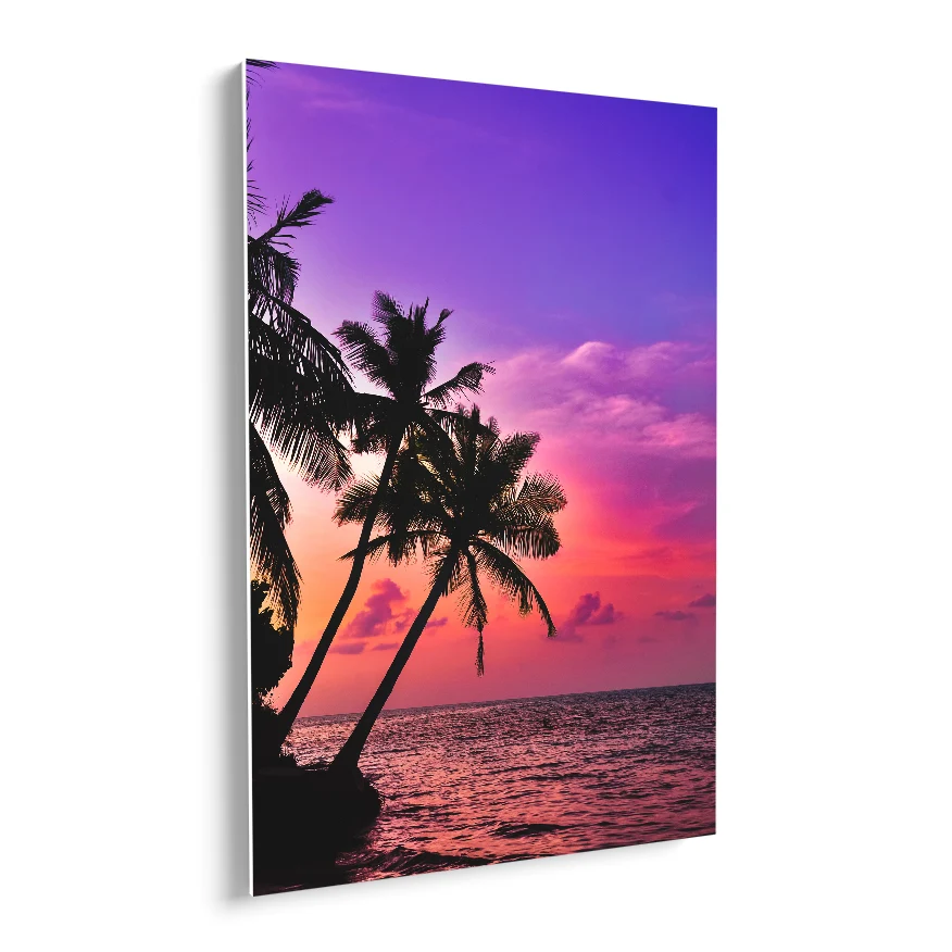 Palmeras y Cielo de Colores Poster