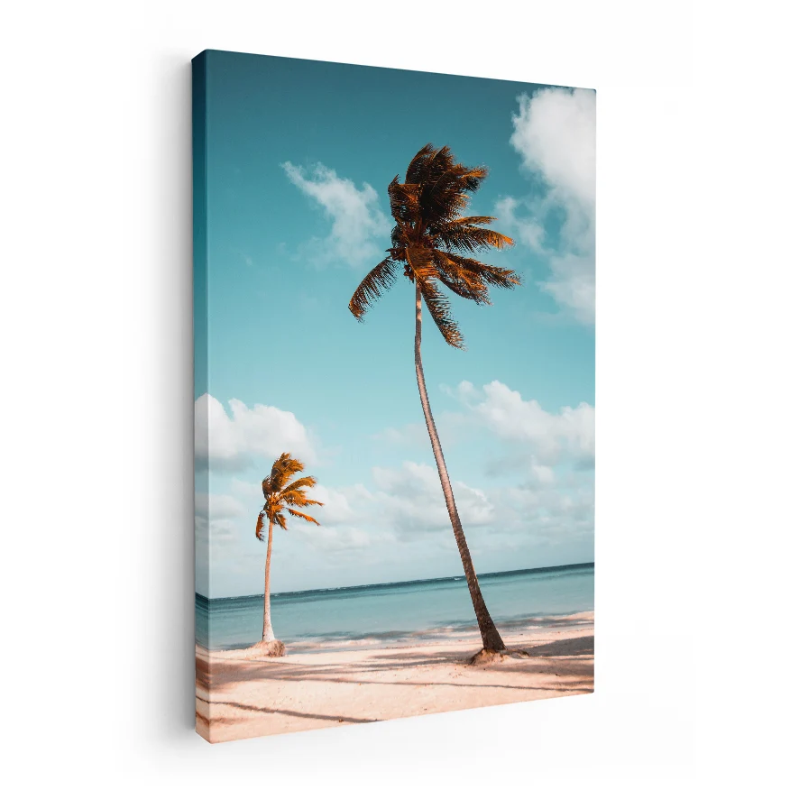 Palmeras Poster